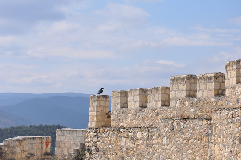 Sinop Boyabat 5.Kalesi kale gorulecek yerler tarihiDSC 6796