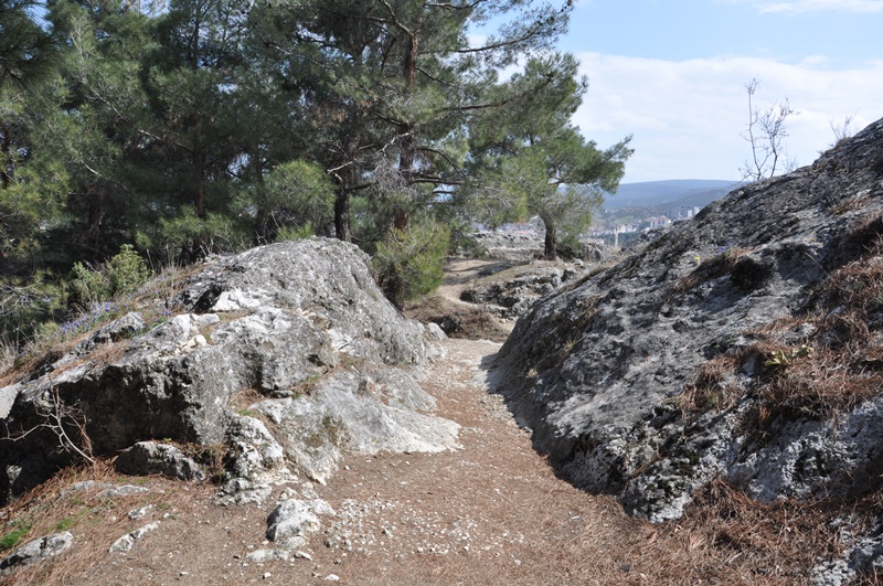 Sinop Boyabat 5.Kalesi kale gorulecek yerler tarihiDSC 6833