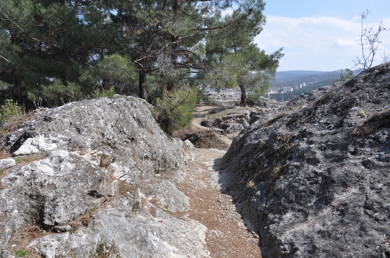 Sinop Boyabat 5.Kalesi kale gorulecek yerler tarihiDSC 6835