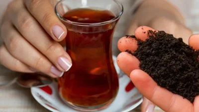 Çayın çiçeklere faydası var mı? Demlenmiş çay bitkilere iyi gelir