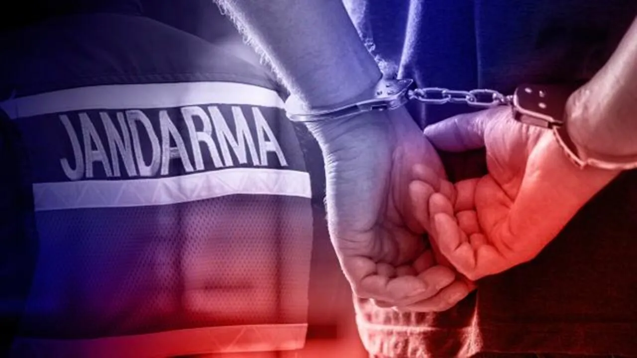 Kastamonu İl Jandarma Komutanlığı'nın gerçekleştirdiği kapsamlı operasyonlarda 31 kişi yakalandı,