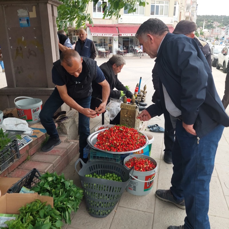 boyabat ilica kirazi haberleri koylu pazari147