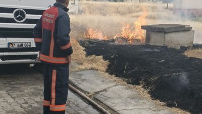 Sinop Boyabat'ta çevre sakinlerinin korkulu rüyası haline gelen ve daha