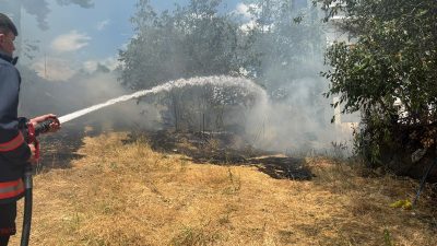 Sinop’un Boyabat ilçesi Çamlıca Mahallesi'ndeki ormanlık alan kenarında kuru otların