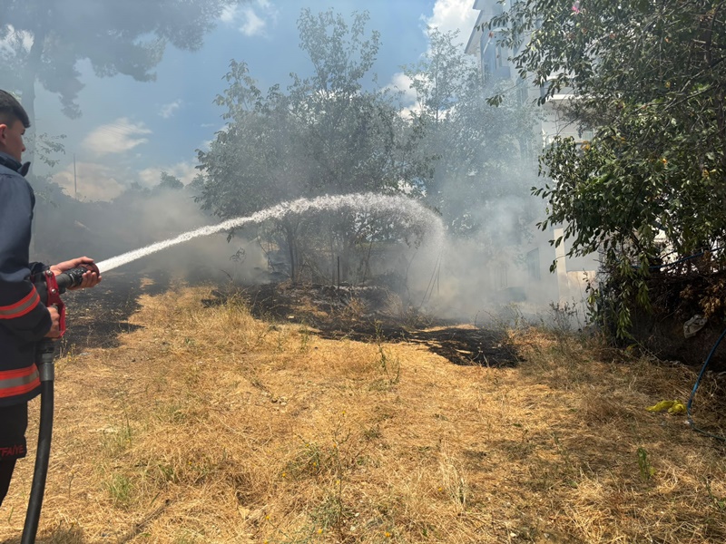 Sinop’un Boyabat ilçesi Çamlıca Mahallesi'ndeki