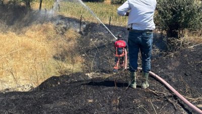 Sinop Boyabat Şıhlı Köyü mevkiinde kuru bitki örtüsü ve sıcak