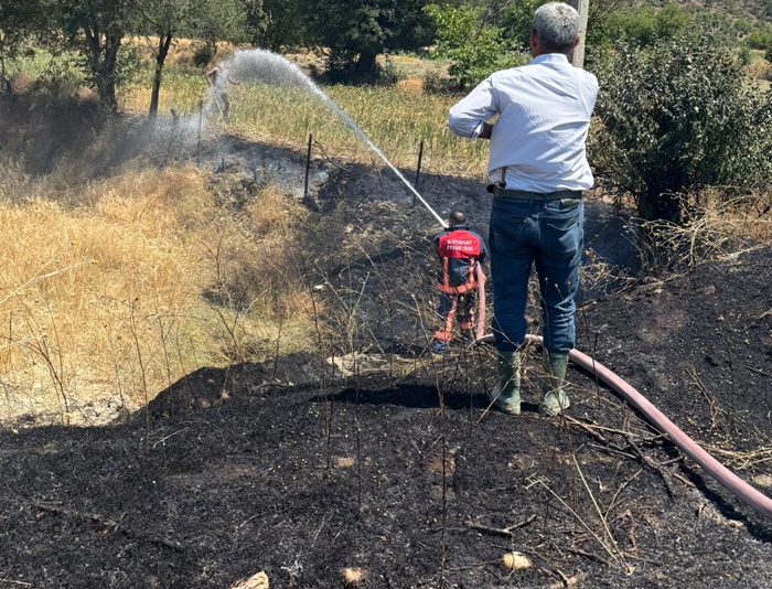 Sinop Boyabat Şıhlı Köyü mevkiinde kuru bitki örtüsü ve sıcak