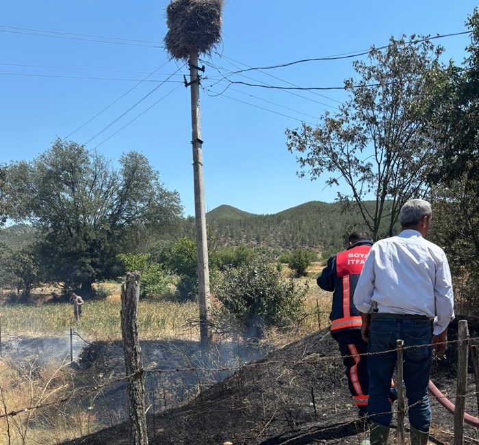 Sinop Boyabat Şıhlı Köyü mevkiinde
