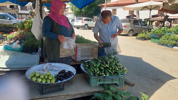 Boyabat’ta yaz mevsiminin gelmesiyle birlikte yerli üreticilerin bin bir emekle