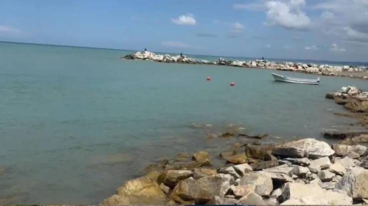 Sinop'un Ayancık ilçesinde serinlemek için