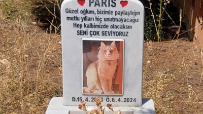 Boyabat Şehir Mezarlığı’nda insan mezarlarının arasında yer alan mermer kedi