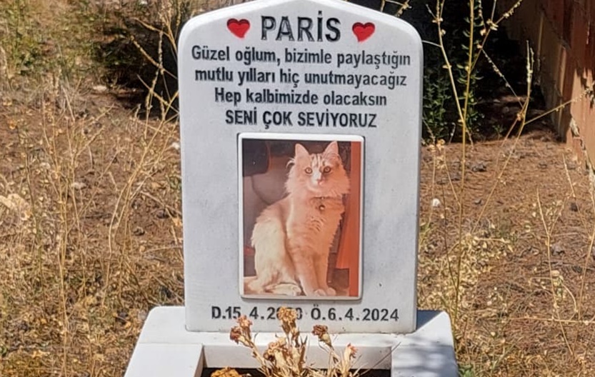 Boyabat Şehir Mezarlığı’nda insan mezarlarının arasında yer alan mermer kedi