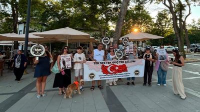 Sinop Hayvan Hakları Platformu, 7527 sayılı yasa sonrası artan hak