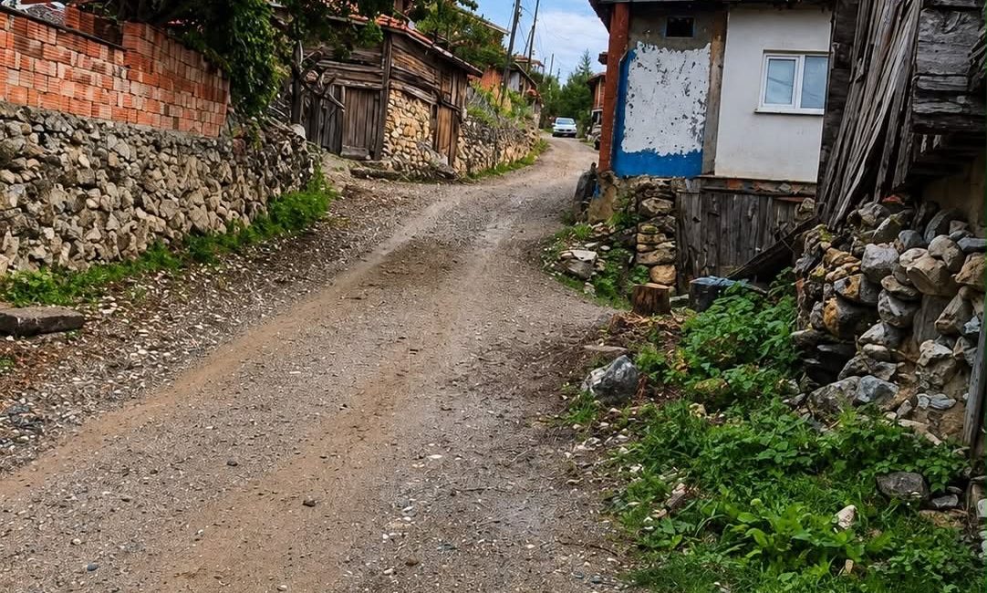 Sinop'un Boyabat ilçesinde bin aşkın nüfusa sahip Marufalınca, Bayamca, Binerli