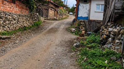 Sinop'un Boyabat ilçesinde bin aşkın nüfusa sahip Marufalınca, Bayamca, Binerli