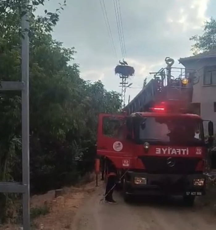 Boyabat Gazidere Köyü Leylek Kurtarma Operasyonu 2 https://www.boyabathabergazetesi.com/Boyabat Gazidere Köyü Leylek Kurtarma/ D5757