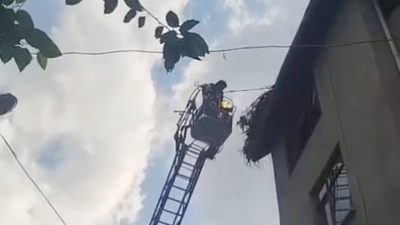 Sinop Boyabat son dakika: Gazideresi köyünde çatıya mahsur kalan leylek,