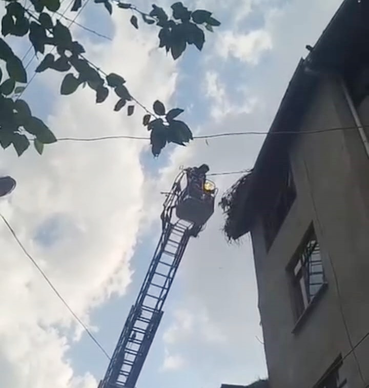 Sinop Boyabat son dakika: Gazideresi köyünde çatıya mahsur kalan leylek,