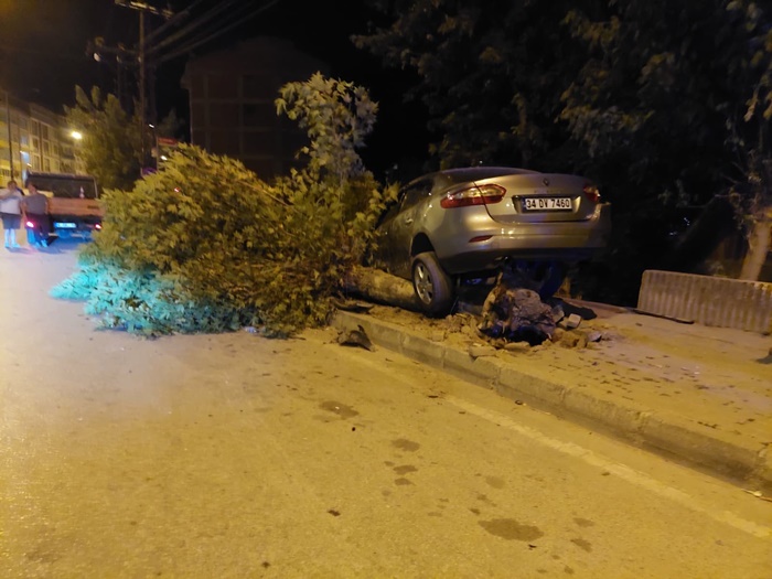 sinop boyabat otomobil agaci devidi6413