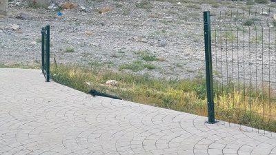 Boyabat Belediyesi tarafından Kalebağı mesire alanı yürüyüş köprüsü öncesine çekilen