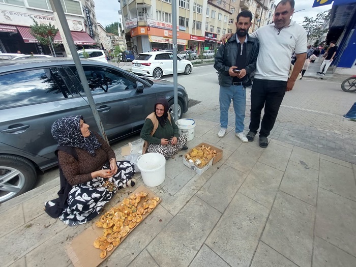 Dranaz Kanlica Mantari Boyabat
