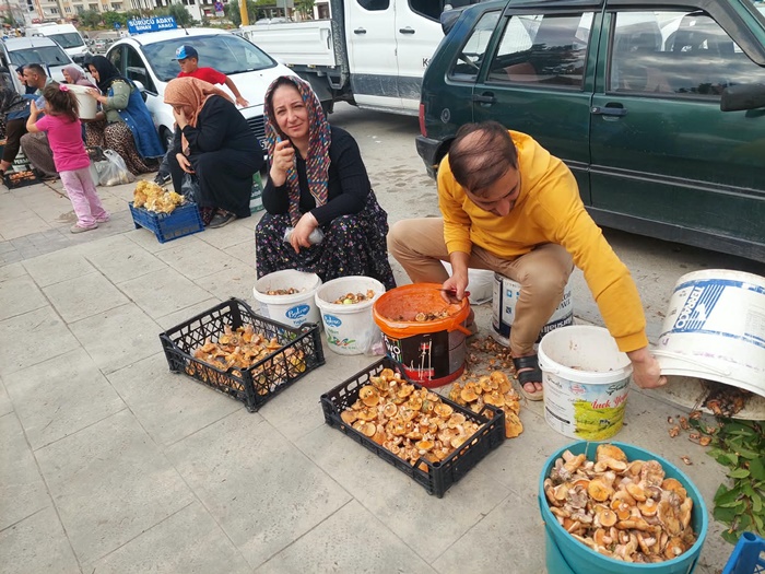 Boyabat Haber: Dranaz Kanlıca Mantarı Pazar Tezgahlarında Satışa Çıktı!5757
