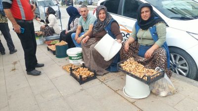 Dranaz'daki sağanak yağışlar bereketi getirdi. Boyabat'ta sezonun ilk kanlıca mantarı