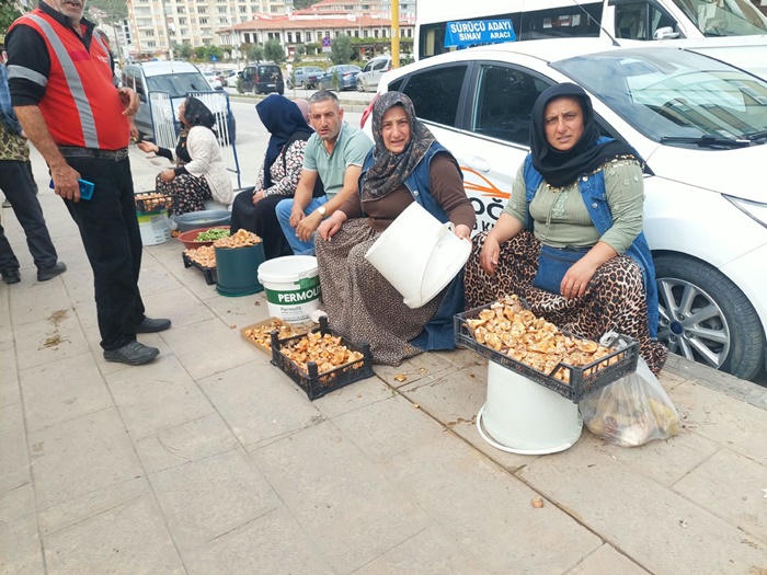 Boyabat Haber: Dranaz Kanlıca Mantarı Pazar Tezgahlarında Satışa Çıktı! 1 Boyabat Haber: Dranaz Kanlıca Mantarı Pazar Tezgahlarında Satışa Çıktı!