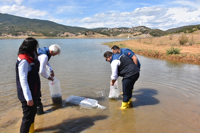 Sinop Saraydüzü Asarcık Baraj Gölü’ne,