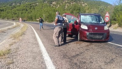 Kastamonu-Sinop karayolunda seyir halindeki 64 LH 827 plakalı otomobil, sürücüsünün