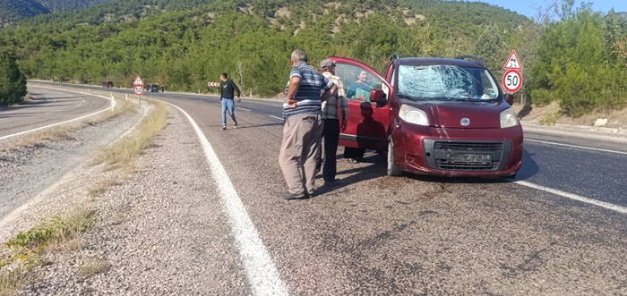 Kastamonu-Sinop karayolunda seyir halindeki 64 LH 827 plakalı otomobil, sürücüsünün