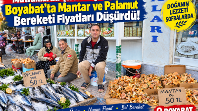 Boyabat'ta sonbahar bereketi yaşanıyor! Dağlardan toplanan mantar 100-200 TL, Karadeniz