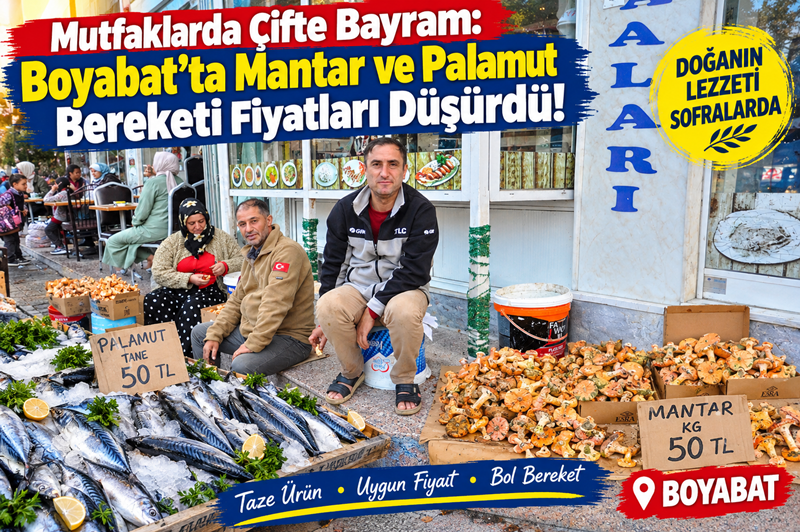 Boyabat'ta sonbahar bereketi yaşanıyor! Dağlardan