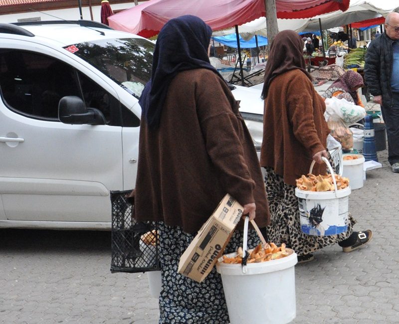 Boyabat Köylü Pazarı’nda yerli ürünler yerini mantara bıraktı. Sabah saatlerinde
