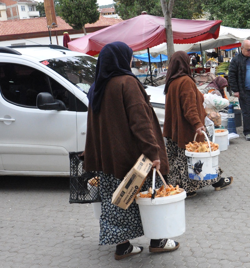 Boyabat Köylü Pazarı'nda Mantar Bereketi: Kanlıca ve Halı Saçağı Pazara İndi! 7 Boyabat Köylü Pazarı'nda Mantar Bereketi: Kanlıca ve Halı Saçağı Pazara İndi!5