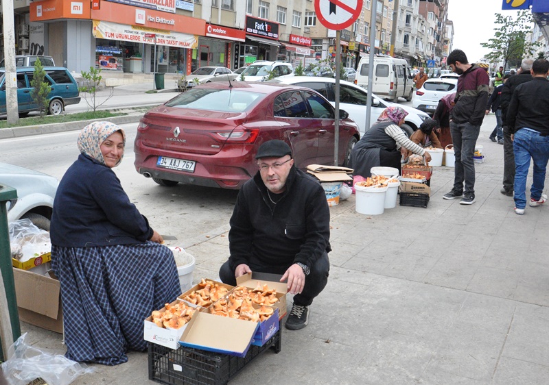 Boyabat Köylü Pazarı'nda Mantar Bereketi: Kanlıca ve Halı Saçağı Pazara İndi! 3 Boyabat Köylü Pazarı'nda Mantar Bereketi: Kanlıca ve Halı Saçağı Pazara İndi!